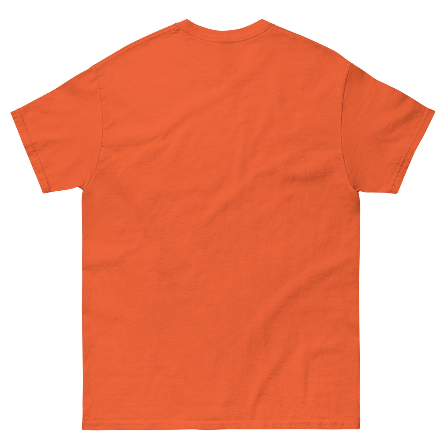 QUINNESSENTIAL Gear Unisex classic tee
