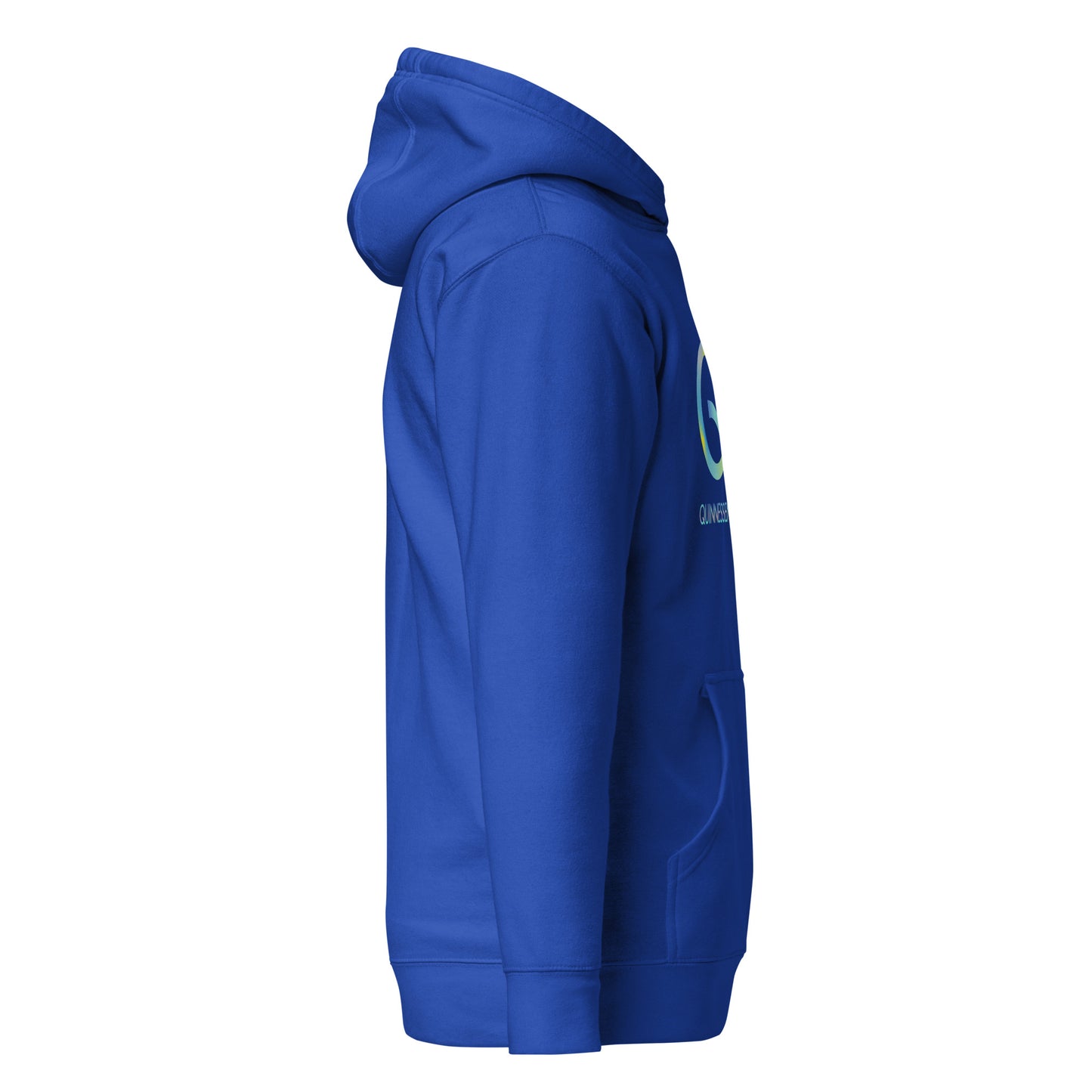 QUINNESSENTIAL Gear Unisex Hoodie