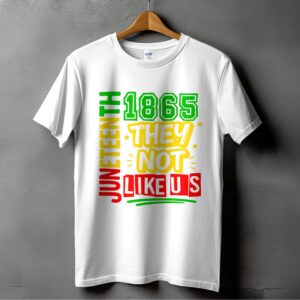 Juneteenth T-Shirt, 1865 They Not Like Us Tee, Freedom Day Apparel, African American Pride Shirt, Emancipation Day TShirt